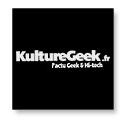 28-KULTURE-GEEK